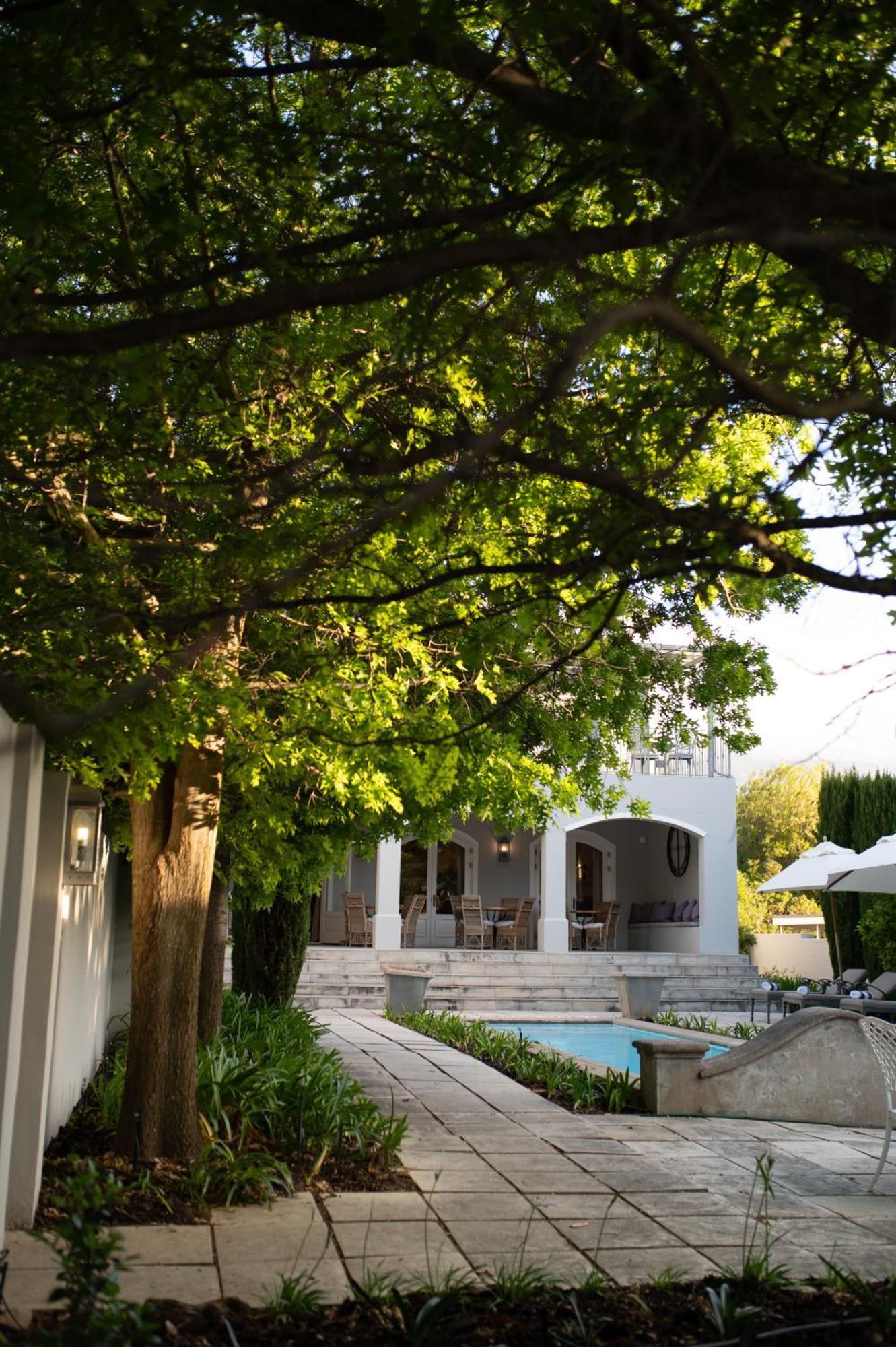 Maison D'Ail Guest House Franschhoek Exteriér fotografie